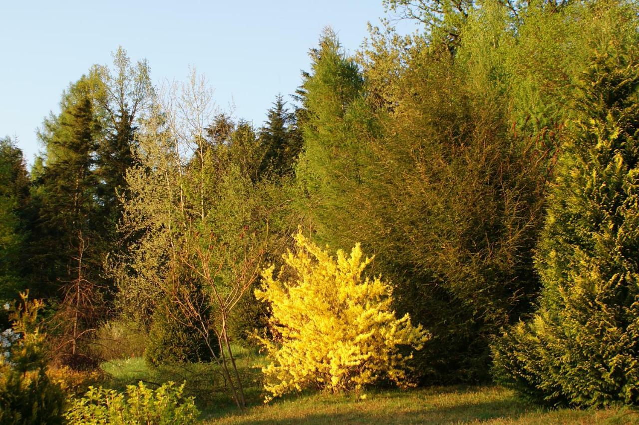 Kasztelanska Apartment