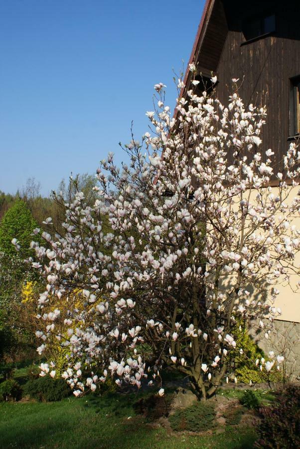 Kasztelanska
